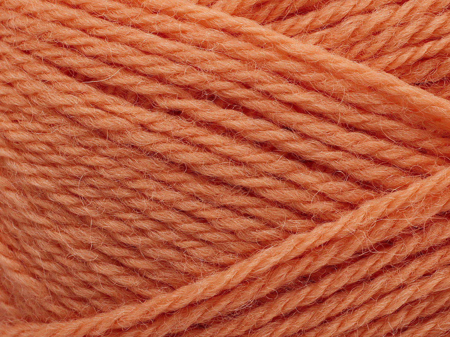 Pernilla Coral (254)