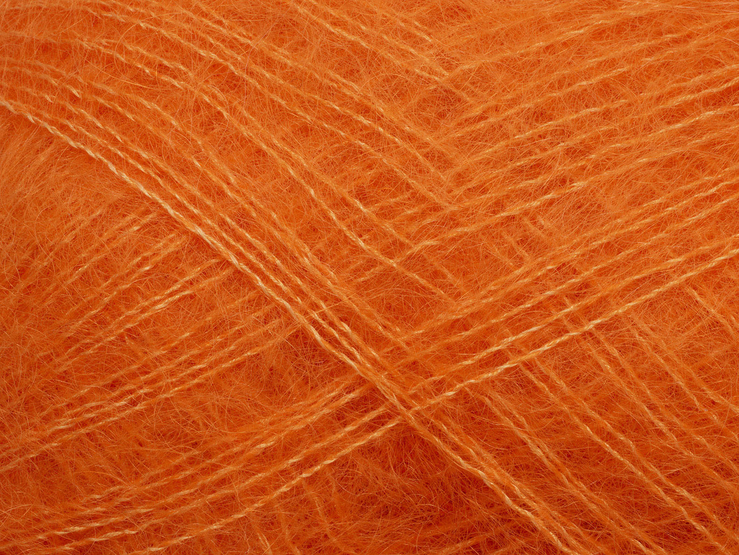 Tilia Calendula (365)