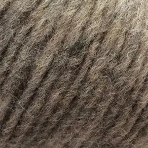 Puno Wild Rabbit (147)